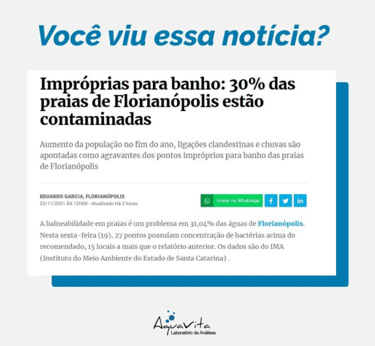 30% das praias de Florianópolis estão contaminadas